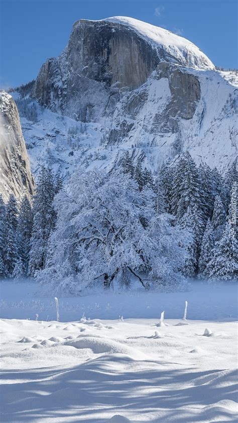 S Oneczny Dzie W Zimowym Parku Narodowym Yosemite Tapeta Na Telefon