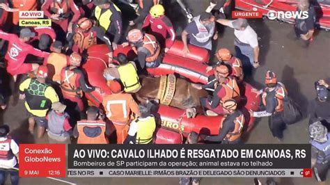 Vídeo Cavalo resgatado de telhado no RS chega a terra firme Conexão