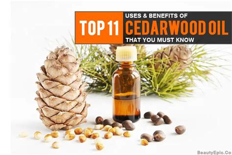 11 Surprising Uses And Benefits Of Cedarwood Oil That You Must Know