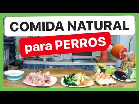 Descubre cómo alimentar a tu perro de manera saludable y sin pienso