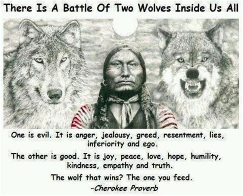 Feed The Right Wolf American Quotes Native American Quotes Two Wolves