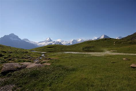 Wetterhorn B Rglistock Lauteraarhorn Schreckhorn F Flickr