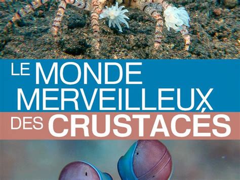 Le Monde Merveilleux Des Crustac S Documentaire En Replay