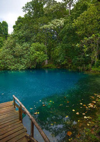 Matevulu blue hole Sanma Province Espiritu Santo Vanuatu Espíritu