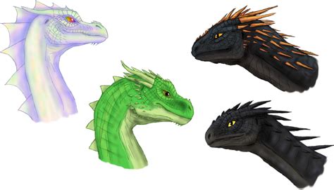 Dragon Types By Bored Cat Child On Deviantart