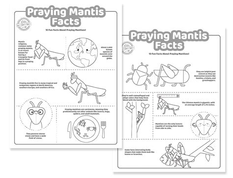 Printable Praying Mantis Facts For Kids | Kids Activities Blog