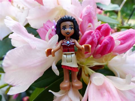 Chez Maximka: LEGO Disney Moana's Ocean Voyage