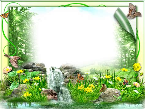 An Artistic Photo Frame With Flowers Rocks And Birds In The Grass Next To A Waterfall