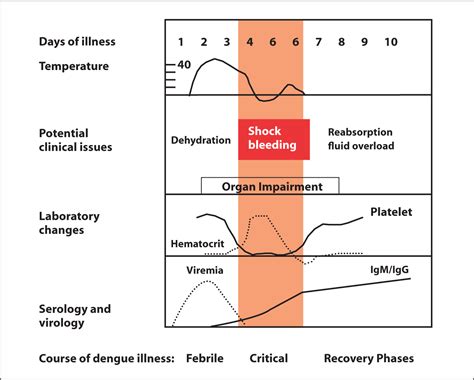 Prevention And Control Of Influenza And Dengue Through Vaccine Development