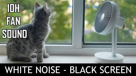 Soothing Fan Sound With Black Screen Hours White Noise For Sleep