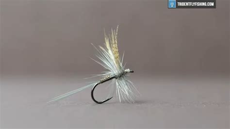 How To Tie The Quill Gordon Fly Trident Fly Fishing