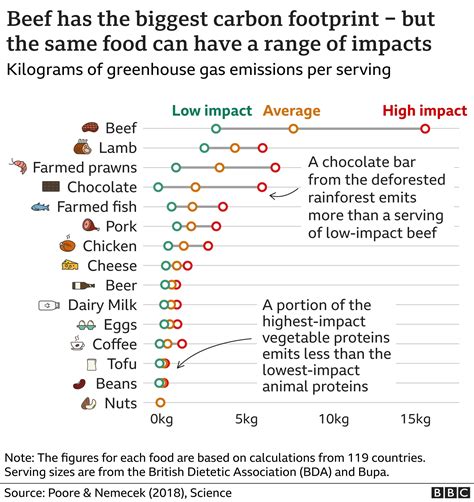 Climate change food calculator: What's your diet's carbon footprint?