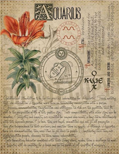 Aquarius Astrological Sign Correspondences Book Of Shadows Printable 7