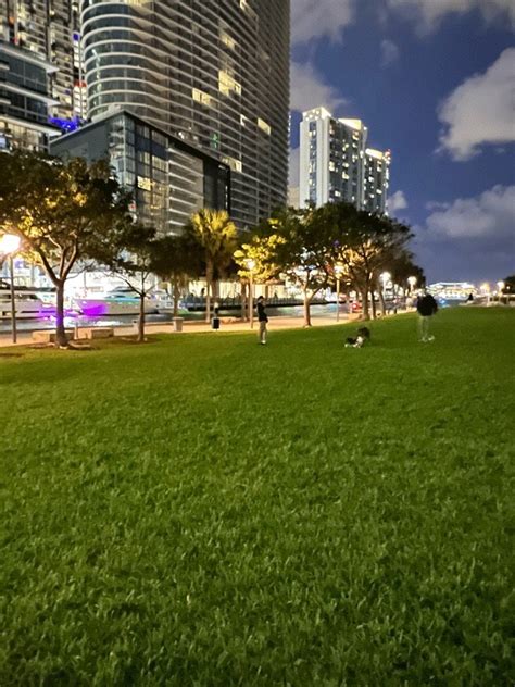 Best Pet Friendly Hotels W Miami Downtown Miami Fl