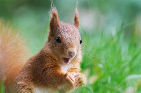 Quels sont les travaux couverts par la garantie décennale Stello