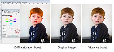 Vibrance Vs Saturation In Photo Editing Mastering Color In Lightroom