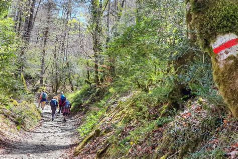 Roncesvalles To Zubiri Guide Stage 2 Of The Camino Frances