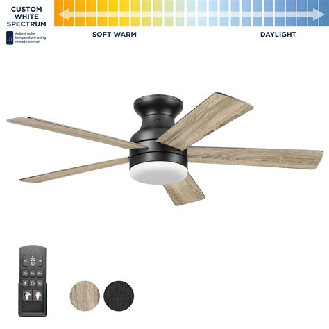 Convert Remote Control Ceiling Fan To Manual | Shelly Lighting