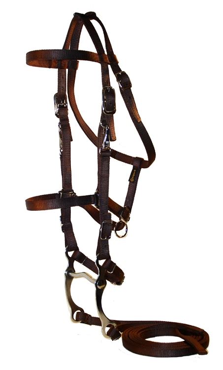 Nylon Trail Bridle, Nickel Hardware, Bit and Reins - Horse Tack & Supplies