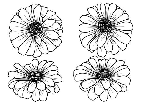 Hand Drawn Flower Sketch Line Art Illustration Set Vector Art