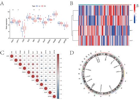 Expression Characteristics And Gene Localization Of CRGs A Boxplot