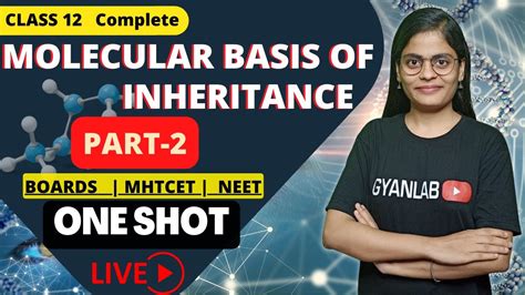 One Shot Class 12 Chapter 4 Molecular Basis Of Inheritance Part