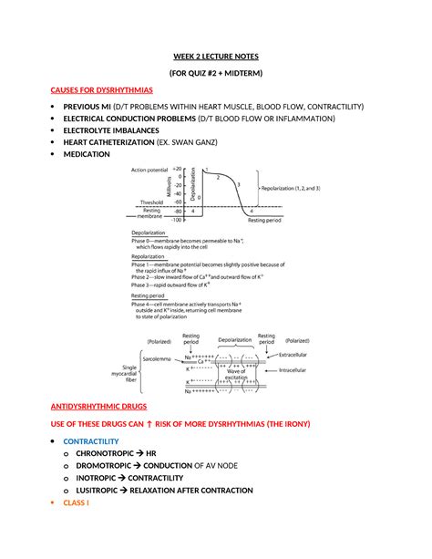 N8 Week 2 Lecture Notes Cardiac Medication EKG Dysrhythmias Heart