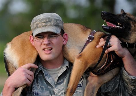 New Military Working Dogs Train For Deployments Moody Air Force Base