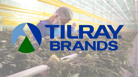 Tilray Stock Soaring Reflects Cannabis Stocks Optimism | BuyShares