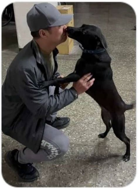 獨家》登山好手三峽猴洞滑墜身亡 愛犬護屍4天搜救鐵漢也動容 社會 自由時報電子報