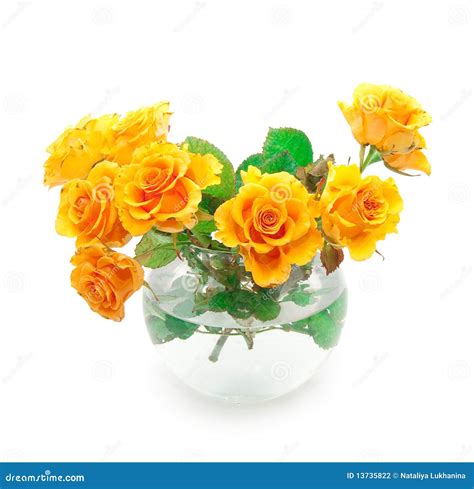 Bouquet of orange roses stock photo. Image of head, gratitude - 13735822