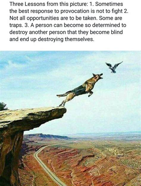 truth  told funny artofit