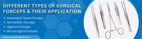 Different Types Of Surgical Forceps And Their Applications Carnegie