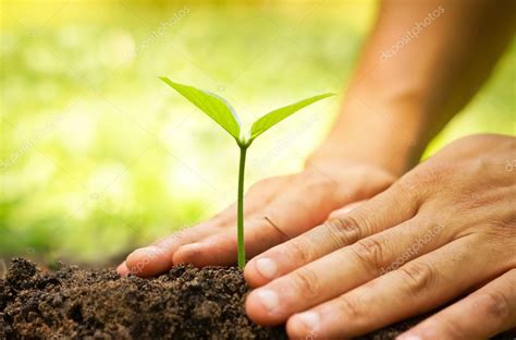 Hand Watering Young Baby Plant — Stock Photo © Weerapat 99957934