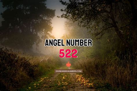 Angel Number 543 Meaning Secret Symbolism And Twin Flame