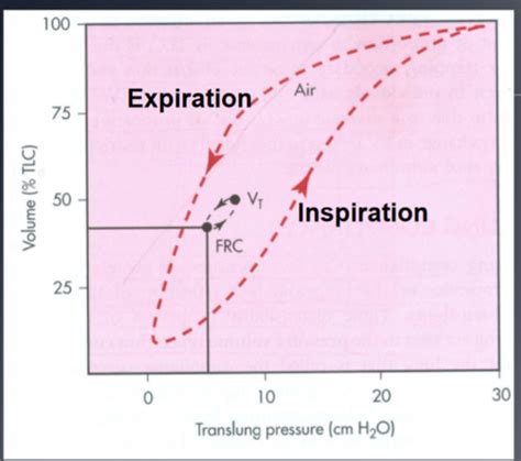 Pulmonary Physiology Mechanics Iproperties Of The Lung Chest Wall