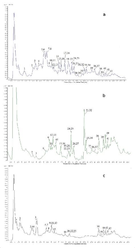 Representative UHPLC ESI QTOF MS Total Ion Chromatograms In Negative