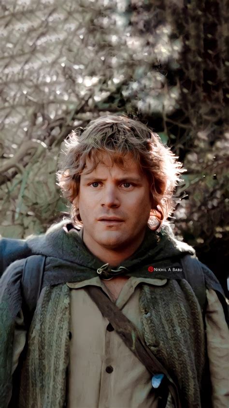 Lord of the Rings : Return of the King Samwise Gamgee | Lord of the ...