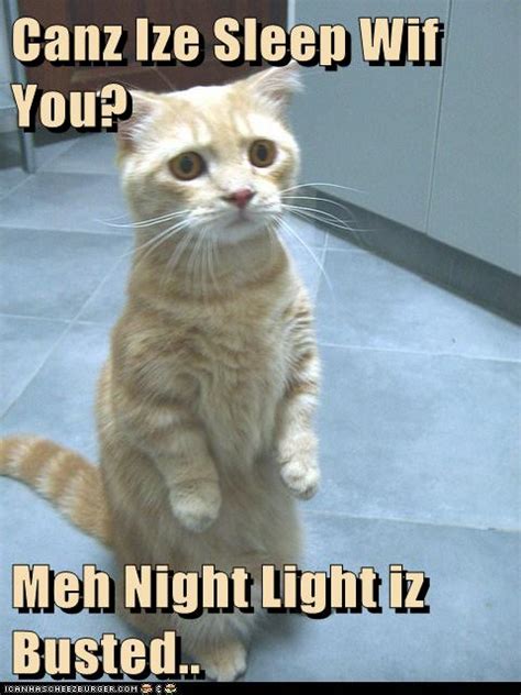 Canz Ize Sleep Wif You Meh Night Light Iz Busted Lolcats Lol Cat Memes Funny Cats