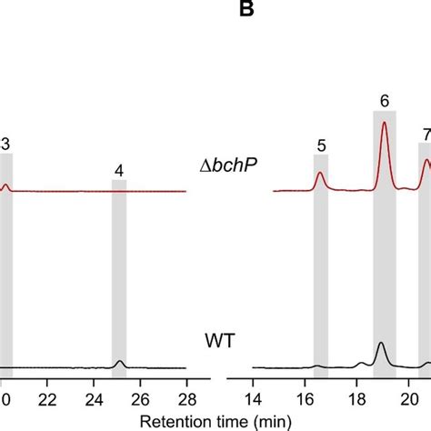 Hplc Elution Profiles Of A Bchls And B Carotenoids Extracted From