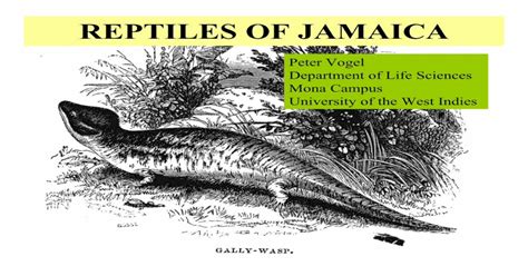 (PDF) REPTILES OF JAMAICA - DOKUMEN.TIPS