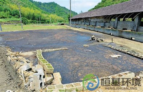 各种养殖污水如何处理 新技术来破解 新闻资讯 河南恒基环境技术有限公司