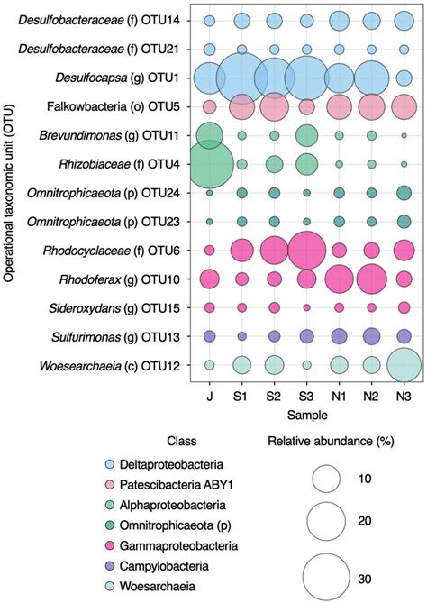 Operational Taxonomic Units Otus Identified By 16s Rrna Gene Amplicon