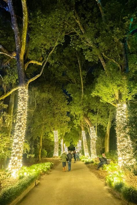 17 Best Places for Christmas Lights in Orlando (2023 Edition)