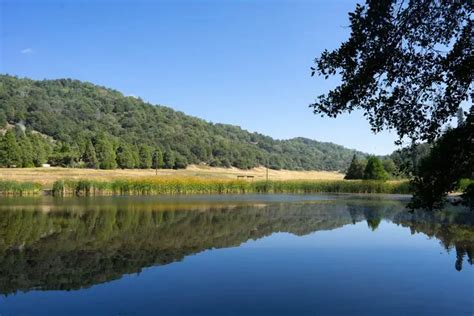 Palomar Mountain Camping Guide 2022 (State Park and National Forest ...