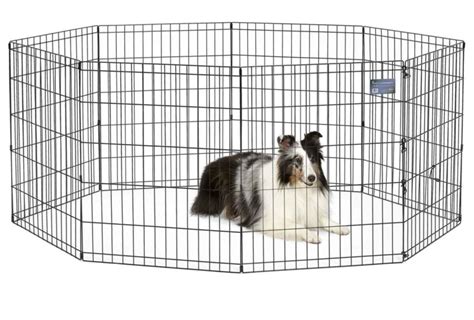 Best Portable Dog Fence for Large Dogs - bestdogfood.com