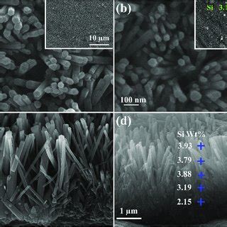 Surface And Cross Sectional SEM Morphologies Of The A C HA B D