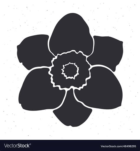 Silhouette Of Flower Daffodil Hand Drawn Template Vector Image