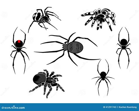 Spider Stock Vector Illustration Of Dark Hanging Close 41291743