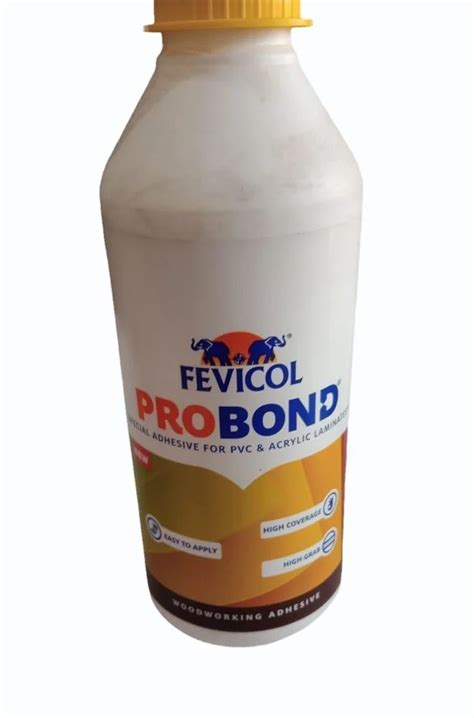 500gm Fevicol Probond Adhesive At Rs 200piece Fevicol In Mumbai Id